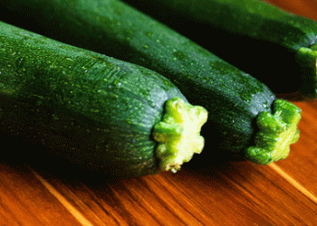 Zucchini Prices in Spain: Why Farmers Earn Less While Consumers Pay More