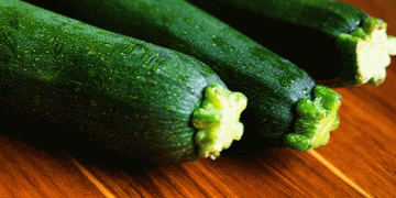 Zucchini Prices in Spain: Why Farmers Earn Less While Consumers Pay More