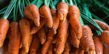 Frozen Carrots, Fresh Opportunities: How Sema Foods Is Tapping into Global Demand for Convenient Vegetables