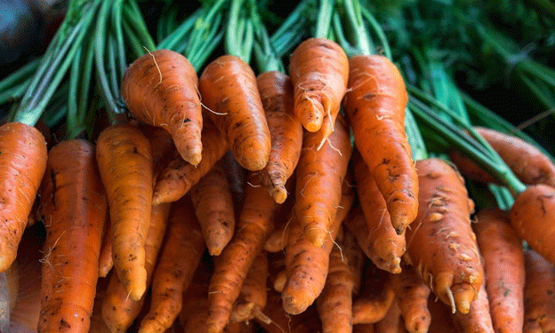 Frozen Carrots, Fresh Opportunities: How Sema Foods Is Tapping into Global Demand for Convenient Vegetables