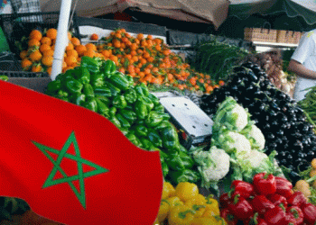 From Drought to Dominance: How Morocco Became a Global Leader in Fruit and Vegetable Exports