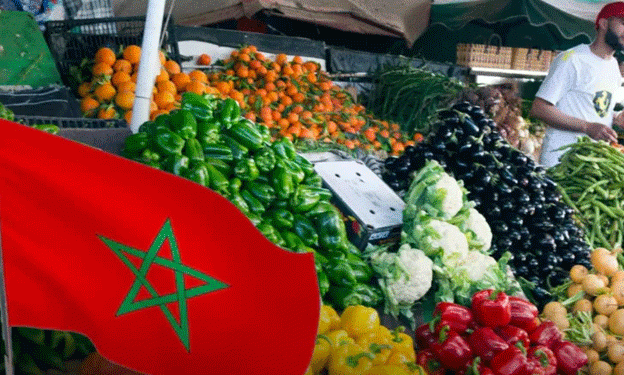 From Drought to Dominance: How Morocco Became a Global Leader in Fruit and Vegetable Exports