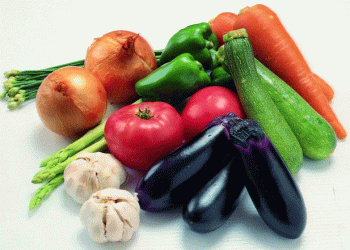 Price Drops and Pressure: Why Almería’s Greenhouses Are Struggling with Vegetable Margins