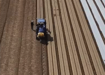 Sowing Innovation: How Jingbian’s Smart Carrot Farming Is Transforming Rural Shaanxi