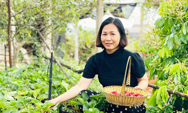 Sweet Profits from Strawberries: How One Farmer in Vietnam Turned Organic Berries into an Agri-Tourism Success