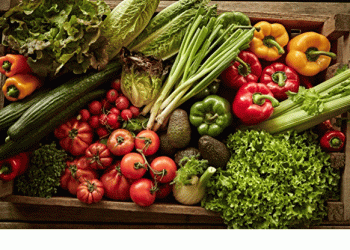 Why British Columbia’s Organic Vegetable Season May Be Delayed — But in High Demand