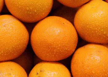 Late-Season Orange Markets Tighten: Spain Leads, Egypt Gains Ground as Supply Contracts