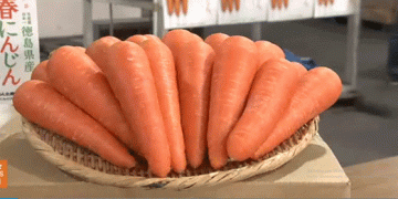 Carrots in the Spotlight: Tokushima’s Spring Harvest Hits 40,000 Tons with Nationwide Promotion Drive