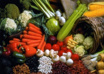 Bridging the Gap: Addressing the Disparity Between Farmgate and Retail Prices in Russian Vegetable Production