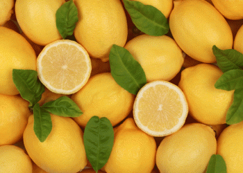 Turkey Lifts Lemon Export Ban After Talks with Farmers: What It Means for the Citrus Sector