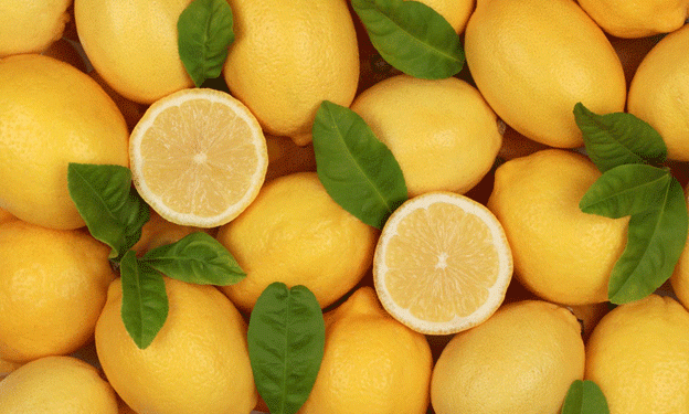 Turkey Lifts Lemon Export Ban After Talks with Farmers: What It Means for the Citrus Sector
