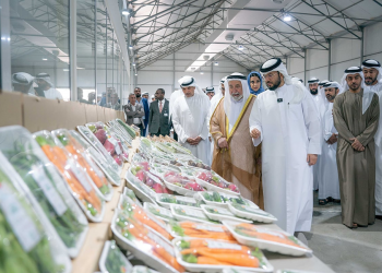 Sharjah’s Organic Breakthrough: New Greenhouse Initiative Targets 250 Tonnes of GMO-Free Produce Annually