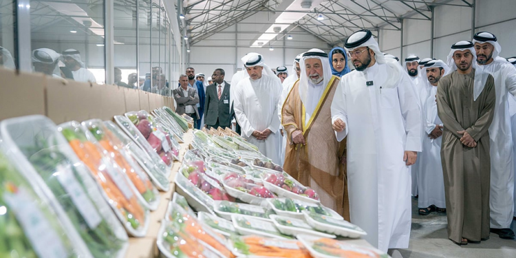 Sharjah’s Organic Breakthrough: New Greenhouse Initiative Targets 250 Tonnes of GMO-Free Produce Annually