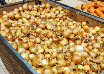 Vegetable Price Volatility in Sverdlovsk Region: What Farmers and Agribusinesses Need to Know