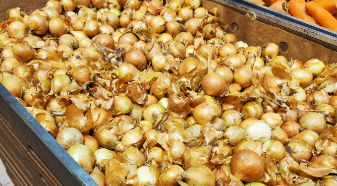 Vegetable Price Volatility in Sverdlovsk Region: What Farmers and Agribusinesses Need to Know