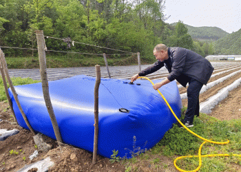 Water Bags + Drip Irrigation: An Innovative Solution to Combat Drought in Tobacco Farming