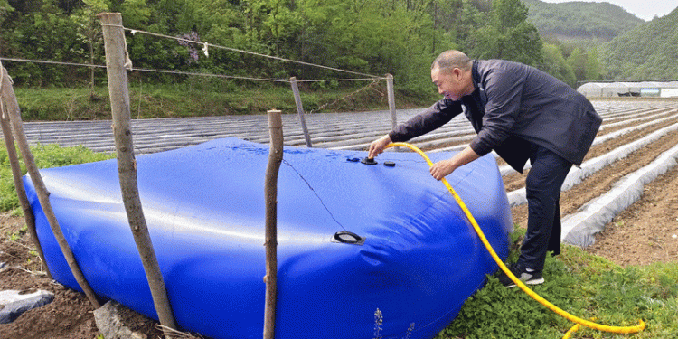 Water Bags + Drip Irrigation: An Innovative Solution to Combat Drought in Tobacco Farming