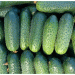 Global Cucumber Market Shifts: Turkey Overtakes Spain as China Dominates Production Value