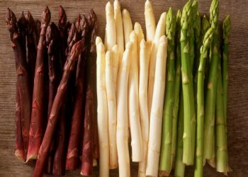 Asparagus Market Trends April 2025: Prices Drop as Austrian Season Returns to Normal Timing