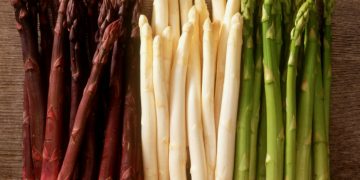 Asparagus Market Trends April 2025: Prices Drop as Austrian Season Returns to Normal Timing