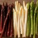 Asparagus Market Trends April 2025: Prices Drop as Austrian Season Returns to Normal Timing
