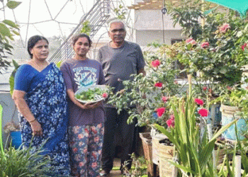 From Banking to Organic Farming: How a 68-Year-Old’s Rooftop Garden Inspires Sustainable Agriculture