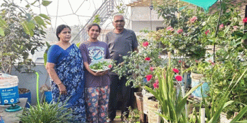 From Banking to Organic Farming: How a 68-Year-Old’s Rooftop Garden Inspires Sustainable Agriculture