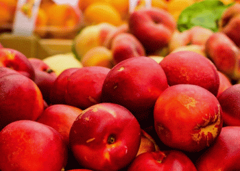 Streamlining Pesticide Approvals in the EU: A Call for Faster, Zone-Based Solutions