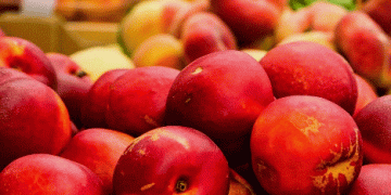 Streamlining Pesticide Approvals in the EU: A Call for Faster, Zone-Based Solutions