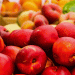 Streamlining Pesticide Approvals in the EU: A Call for Faster, Zone-Based Solutions