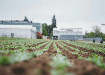 Revolutionizing Soil Health: How HydroSoilWise is Paving the Way for Climate-Resilient Agriculture in Northwest Europe