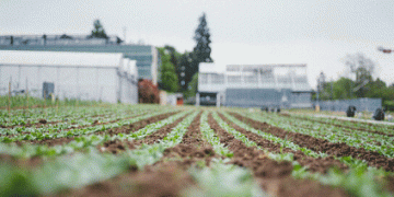 Revolutionizing Soil Health: How HydroSoilWise is Paving the Way for Climate-Resilient Agriculture in Northwest Europe
