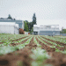 Revolutionizing Soil Health: How HydroSoilWise is Paving the Way for Climate-Resilient Agriculture in Northwest Europe