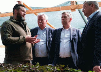 Innovations in Agriculture and Rural Development: Lessons from Astrakhan’s Agribusiness Boom