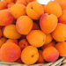 European Apricot Harvest 2025: A 10% Decline Amid Climate Challenges – What Farmers Need to Know