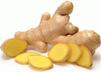 Peru’s Ginger Exports Decline Sharply in April 2025: What’s Driving the Downturn?