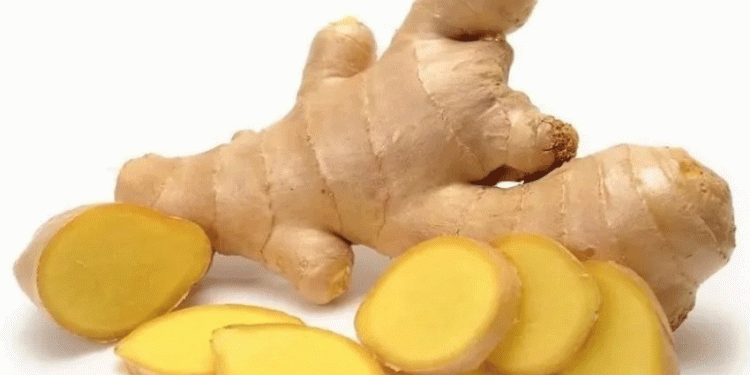 Peru’s Ginger Exports Decline Sharply in April 2025: What’s Driving the Downturn?
