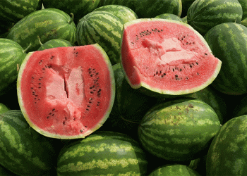 Strong Prices for Almería Melons and Watermelons: Market Trends and Seasonal Insights for 2025