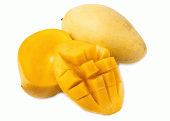 The Road Ahead for Mexican Mangoes: Expanding Global Reach While Maintaining Premium Quality