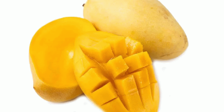 The Road Ahead for Mexican Mangoes: Expanding Global Reach While Maintaining Premium Quality