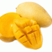 The Road Ahead for Mexican Mangoes: Expanding Global Reach While Maintaining Premium Quality
