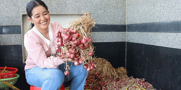 Organic Purple Onion Farming: A Profitable and Sustainable Shift for Farmers