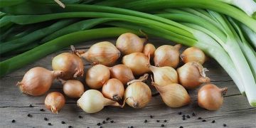 Garlic Prices Dip, Onion Prices Surge: What Spanish Farmers and Agribusinesses Need to Know in 2025