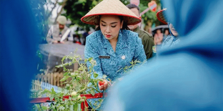 Urban Farming Success in Medan: How Community Gardens Boost Food Security and Sustainability