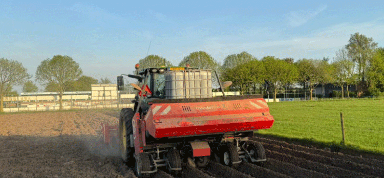 Record-Early Potato Planting in 2024: Will It Lead to Higher Yields?