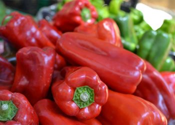 Almería Dominates Global Pepper Exports: Outshines Netherlands, Morocco, and Turkey in 2024