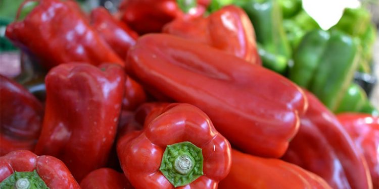 Almería Dominates Global Pepper Exports: Outshines Netherlands, Morocco, and Turkey in 2024