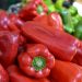 Almería Dominates Global Pepper Exports: Outshines Netherlands, Morocco, and Turkey in 2024