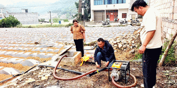 Drip Irrigation Revolution: How Smart Watering is Transforming Tobacco Farming in China’s Karst Highlands