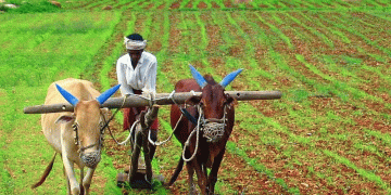 Rising Temperatures Threaten Vegetable Farming in Maharashtra: Challenges and Solutions for Farmers